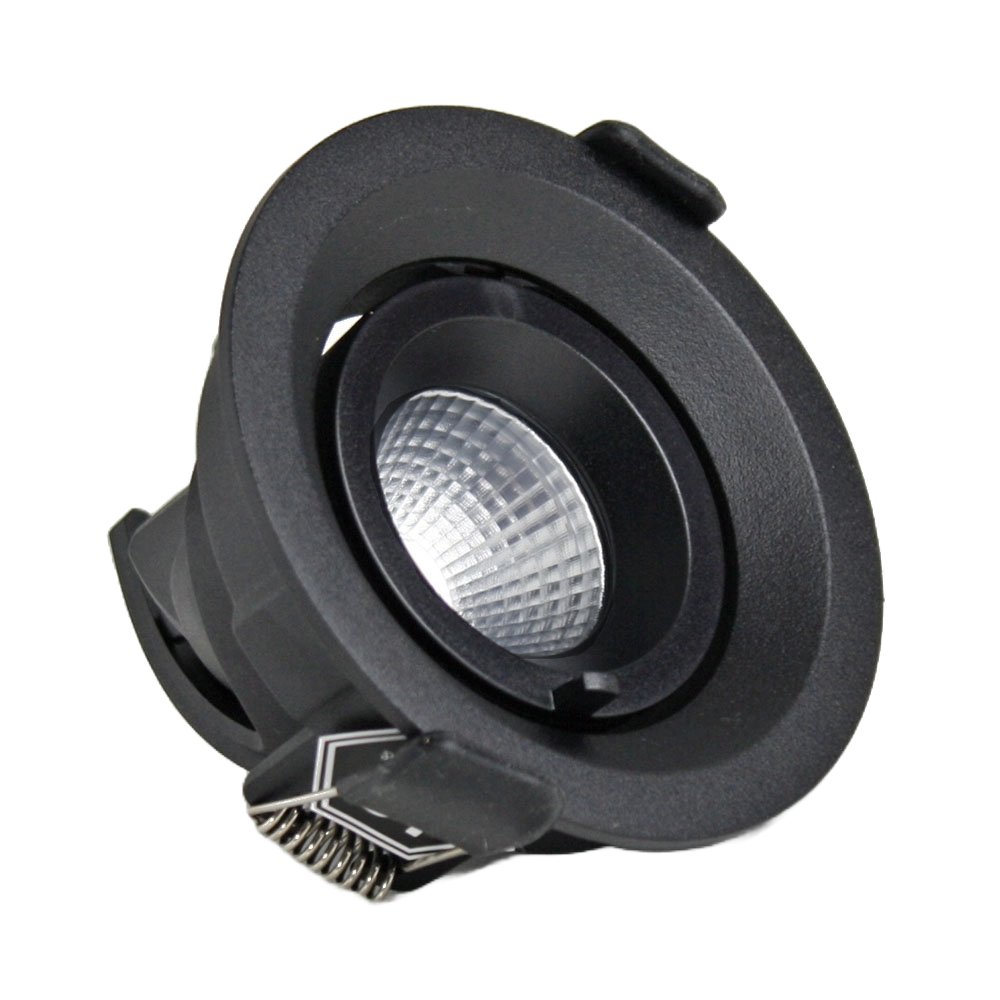 DW301