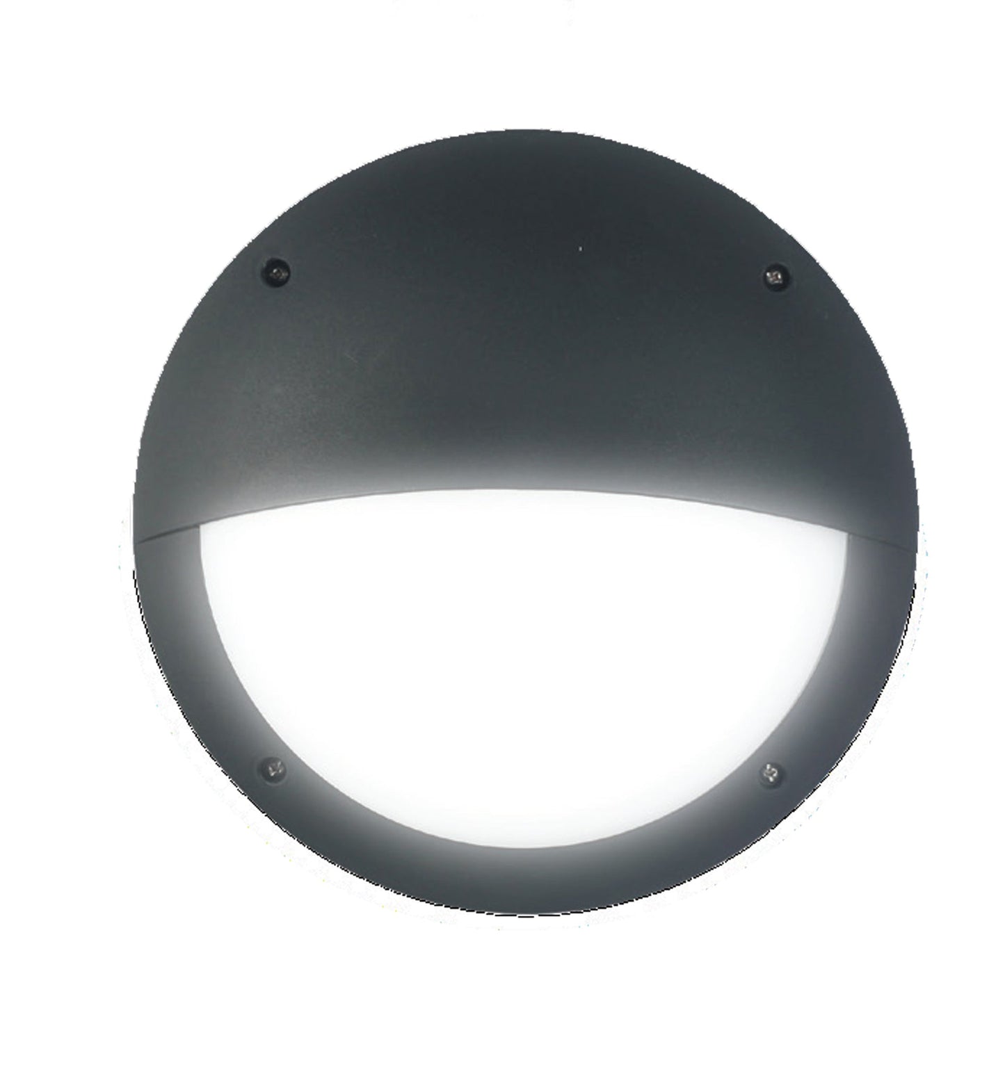BULK: Eyelid LED Bulkhead Lights IP66 & IK10