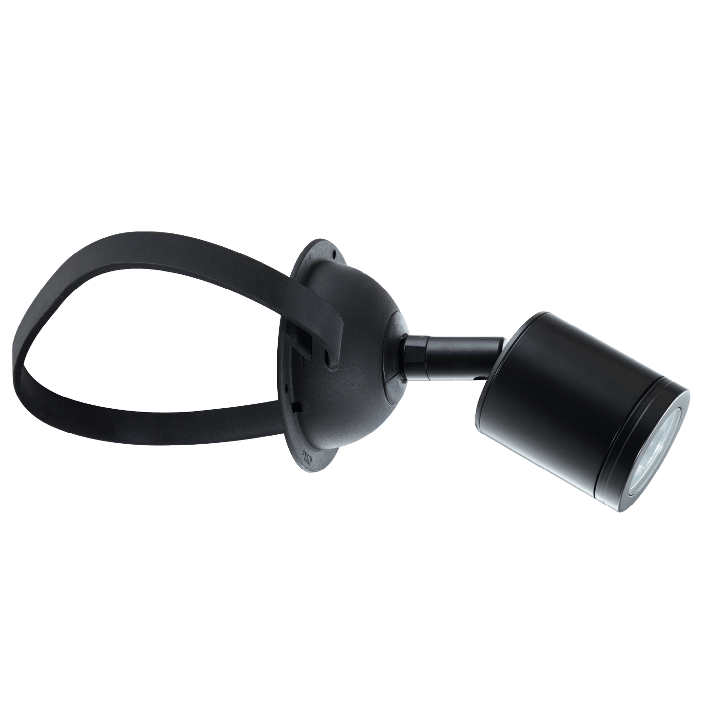 Tree Mount Light