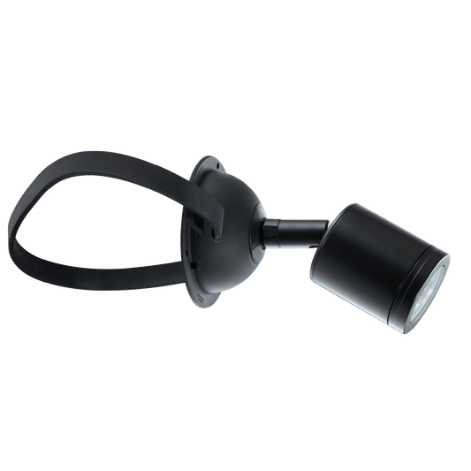 Tree Mount Light