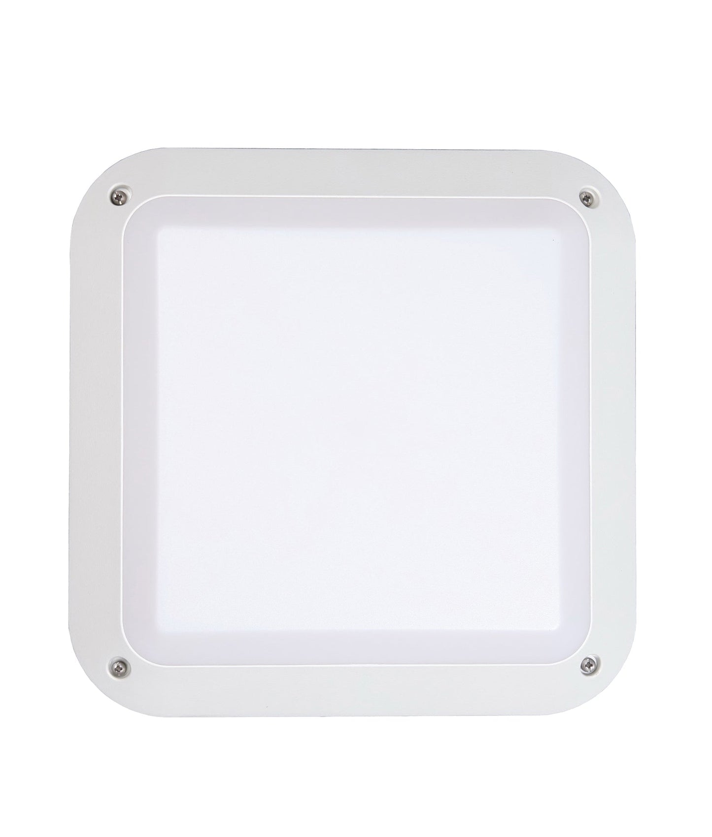 BULK: LED Exterior Bulkhead Lights IP66 & IK10