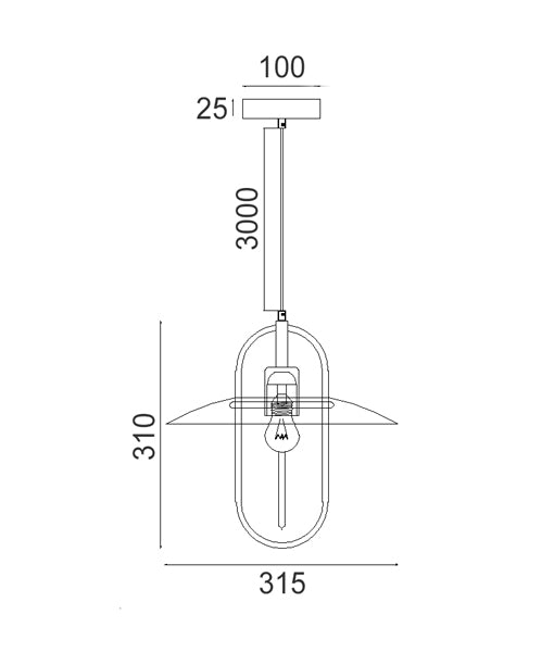 PAPILLON: Interior Oblong Iron with Glass Coolie Pendant Lights