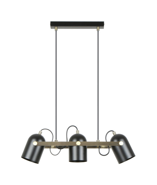 TAZZA: Interior Ellipse Shade with Antique Brass Hardware Pendant Light